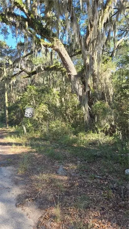 0 Mentionville Rd SW, Darien, GA 31305