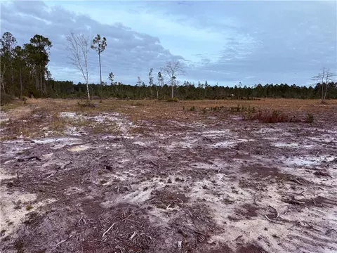 lot10 Wiregrass Ln #10, Waycross, GA 31501