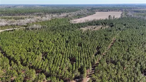 19 Ac Owens Rd, Odum, GA 31555