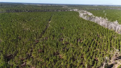 29 Ac Owens Rd, Odum, GA 31555