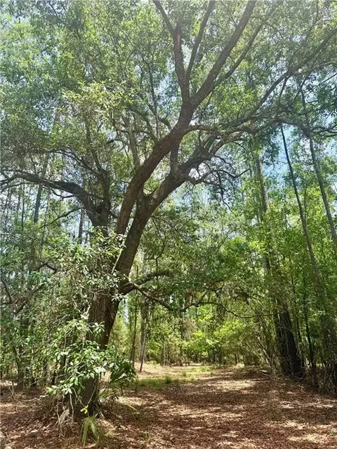0 Timber Landing Rd, Brunswick, GA 31523