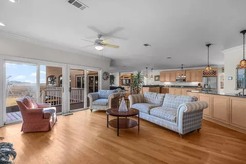 Living - 2017 Sutherland Bluff Dr NE, Townsend, GA 31331 photo 2 of 4