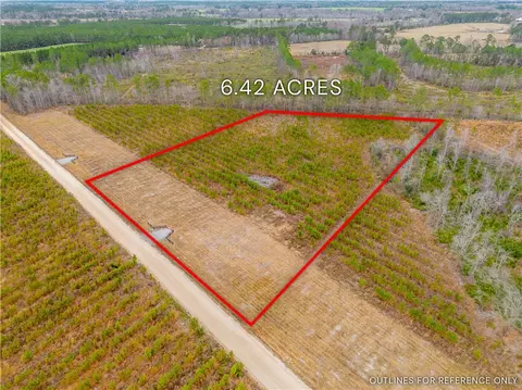 lot13 Bennett Grooms Rd, Other, GA 30458