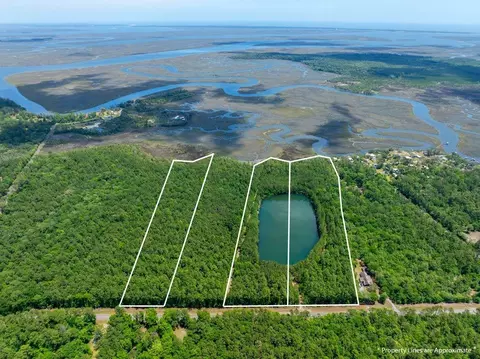 0 21 Acres Dover Bluff Rd, Waverly, GA 31565