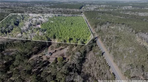 30 46 Acres Minton Rd, Townsend, GA 31331