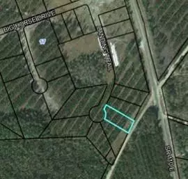 lot35 Landing Trl, Waynesville, GA 31566