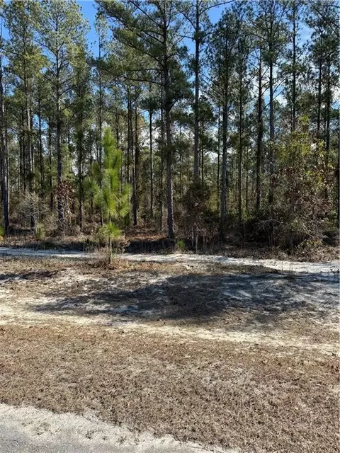 00 Heritage Cir, Hortense, GA 31543