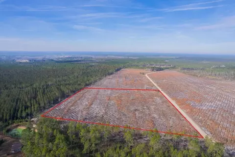 Tract 6 Morris Break Road, Odum, GA 31555