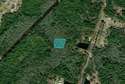 1 17 Acres Elam Rd, Hinesville, GA 31313