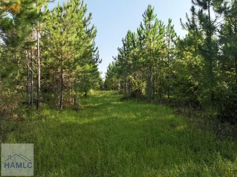 3 Oglethorpe Road, Jesup, GA 31545 photo 4