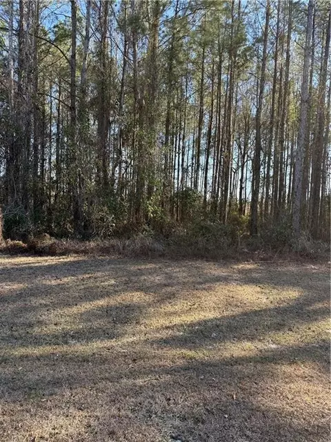 00 Settlers Bluff Rd #30, Folkston, GA 31537