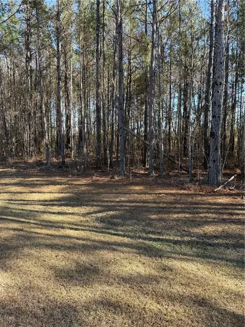00 Settlers Bluff Rd, Folkston, GA 31537