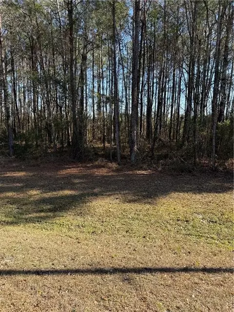 00 Settlers Bluff Rd #32, Folkston, GA 31537