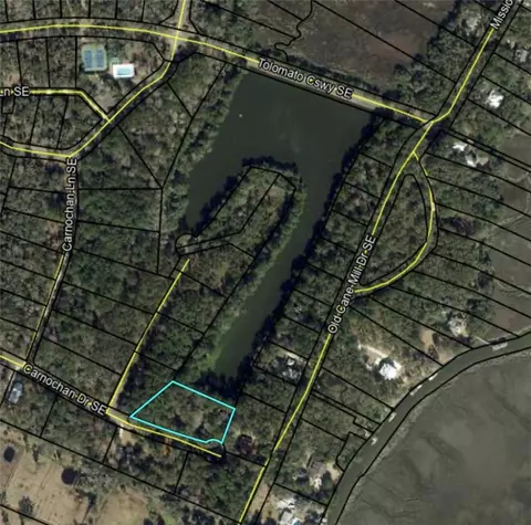 lot14 Carnochan Dr, Darien, GA 31305
