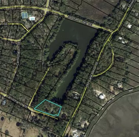 lot14 Carnochan Dr, Darien, GA 31305