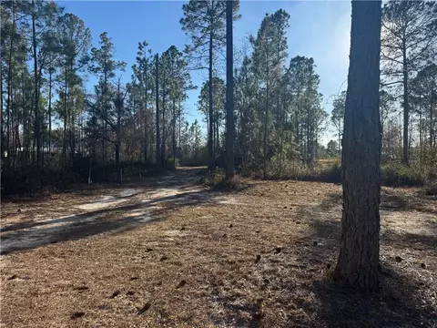 00 White Tail Way, Blackshear, GA 31516
