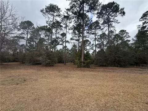 71 Coopers Point Dr NE, Townsend, GA 31331