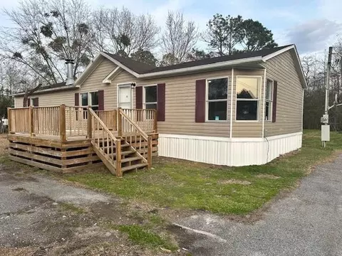 244 NE Cheryl Ct, Ludowici, GA 31316