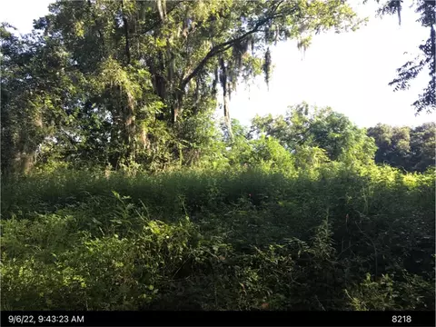 5282 Owens Rd, Blackshear, GA 31516 photo 1