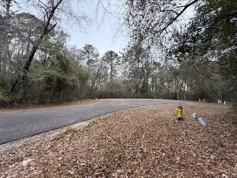 V/l 40 Satilla River Landing, Woodbine, GA 31569
