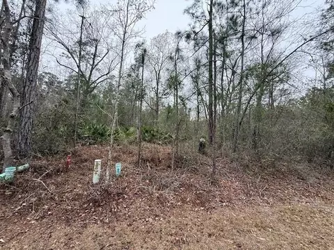 V/l Lot 104 Satilla River Landing, Woodbine, GA 31569