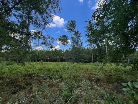 19 Windmill Palm #43, Brunswick, GA 31523