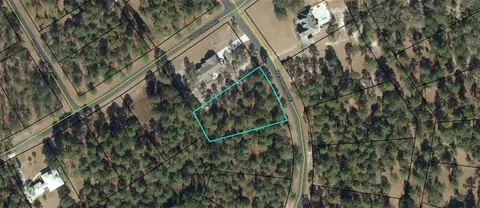 lot551 Marsh Hen Rd NE, Townsend, GA 31331