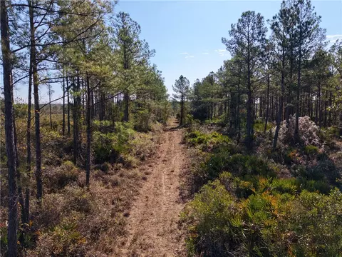 0 Old Post Rd, White Oak, GA 31568 photo 10