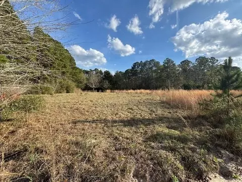 0 Eden Rd, Patterson, GA 31557