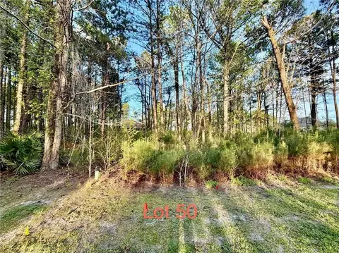 50 Eagle Crest Drive, Waverly, GA 31565