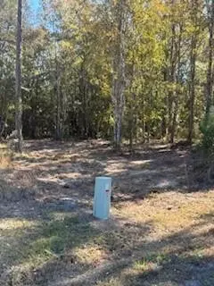 316 Herrin Rd, Woodbine, GA 31569