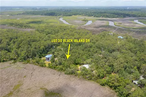 lot30 Black Island Rd, Darien, GA 31305
