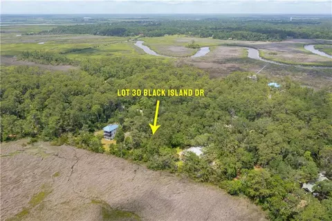 lot30 Black Island Rd #30, Darien, GA 31305