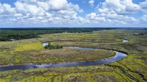 lot5 Black Is, Darien, GA 31305