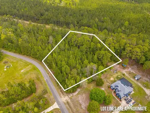 lot19 Serenity Farms Rd #19, Woodbine, GA 31569