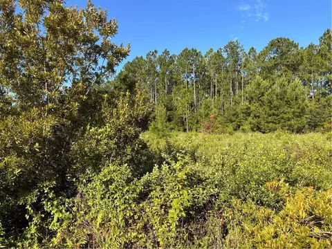 00 Horseshoe Cove Rd, Waverly, GA 31565