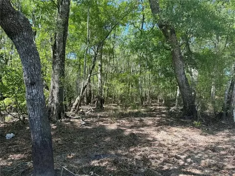 0 Lewis Lndg, Nahunta, GA 31553