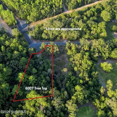 6005 6007 Tree Top Ln, Blackshear, GA 31516 photo 5