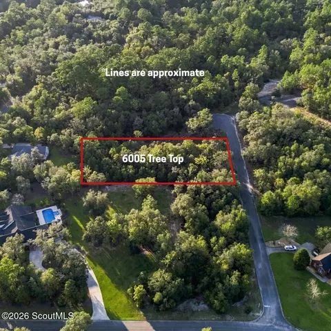 6005 6007 Tree Top Ln, Blackshear, GA 31516 photo 2