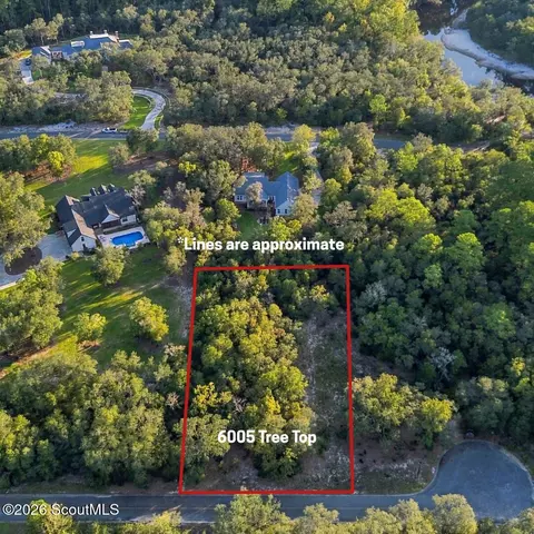 6005 6007 Tree Top Ln, Blackshear, GA 31516 photo 3