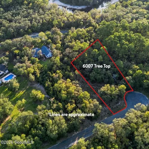 6005 6007 Tree Top Ln, Blackshear, GA 31516 photo 4