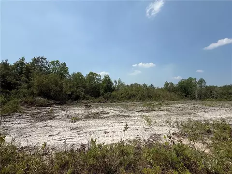 0 Mineral Springs Rd, Waynesville, GA 31566
