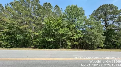 lot14 K Sheffield Est On Hwy 17 Hwy, Woodbine, GA 31569