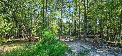 0 4th St, Other, GA 31312 photo 2