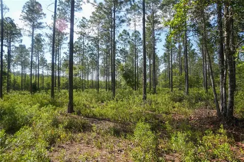 5015 Wood Duck Branch Rd, Blackshear, GA 31516