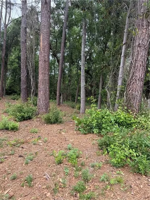 134 Palmera Ln, Brunswick, GA 31520