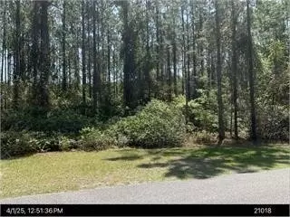 115 Tacatacoru Ct, Saint Marys, GA 31558