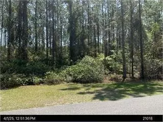 115 Tacatacoru Ct, Saint Marys, GA 31558