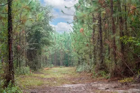 3 Tract Old Saddle Way Rd, Townsend, GA 31331
