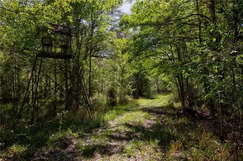 0 Juniper Ln, Townsend, GA 31331 photo 8